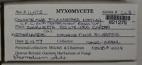 Image Associated With the Occurence